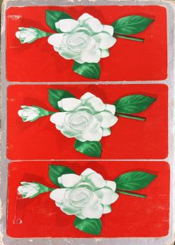 De Luxe Samba Triple-Deck Set (White Gardenia / Red Backs) Thumbnail