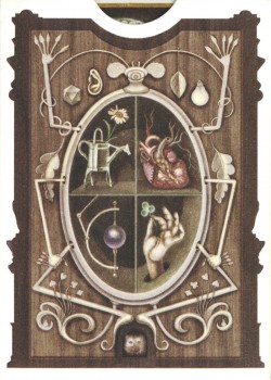 Cabinetarium by Art of Play – tuck box back