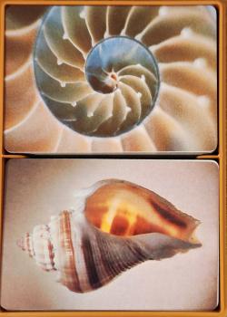 Sea Shells - Hallmark Thumbnail