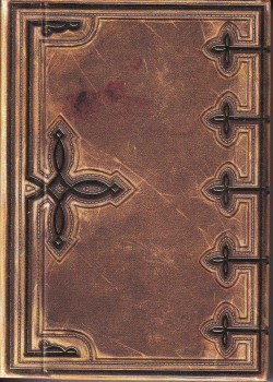 Beowulf Standard by Kings Wild Project – tuck box back