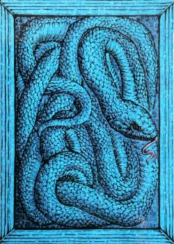 Zoo 52 - Bamboo Pit Viper Front Thumbnail Image