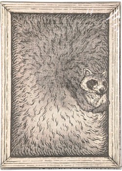 Zoo 52 - Raccoon Thumbnail