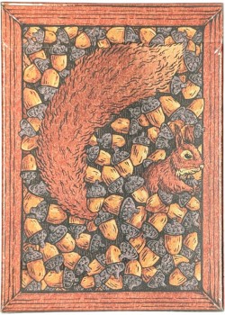 Zoo 52 - Squirrel Thumbnail