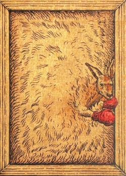 Zoo 52 - Kangaroo Front Thumbnail Image