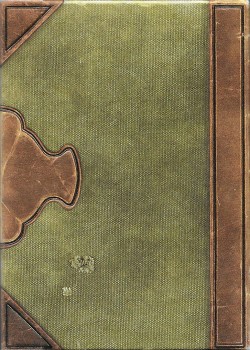 Robin Hood (Standard) by Kings Wild Project – tuck box back