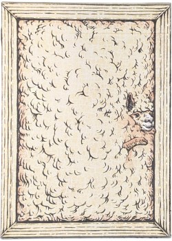 Zoo 52 - Alpaca Thumbnail