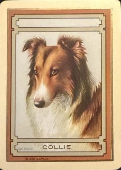 Congress 606 "Collie" Thumbnail