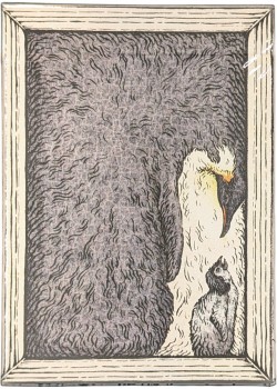 Zoo 52 - Emperor Penguin Front Thumbnail Image