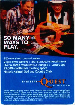 Bee Northern Quest (Blue) Thumbnail