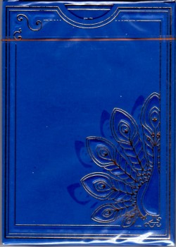 Vittoria Bauta Blue Experimental back