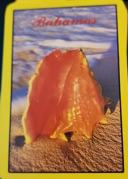 Bahamas Thumbnail