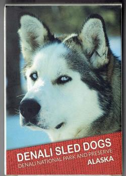 Denali Sled Dogs Denali National Park and Reserve Thumbnail