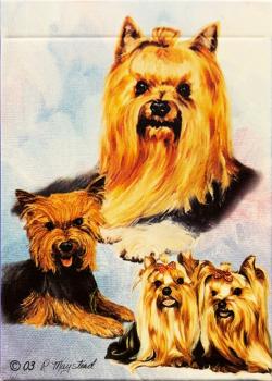 Best Friends: Yorkshire Terrier Thumbnail