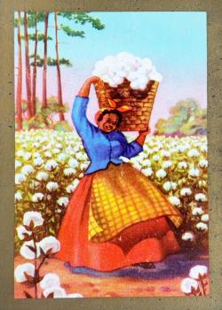 Congress - Cotton Harvest Front Thumbnail Image