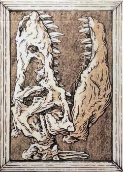 Zoo 52 - Fossil - Deck Front