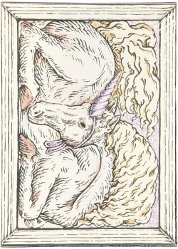 Zoo 52 - White Horse Thumbnail