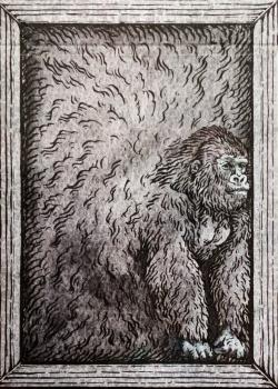 Zoo 52 - Orangutan Thumbnail