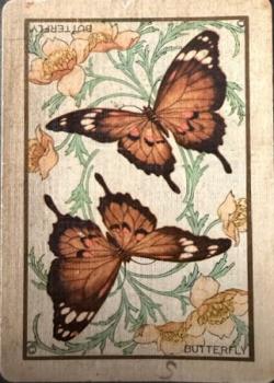 Congress 606 "Butterfly" Thumbnail