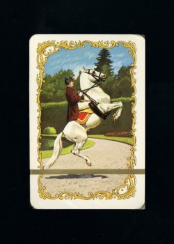 White Horse Patience 1 back