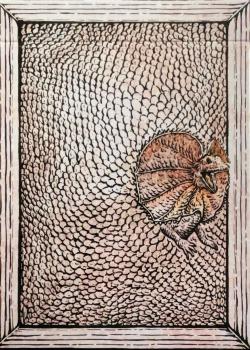 Zoo 52 - Frilled Lizard Thumbnail