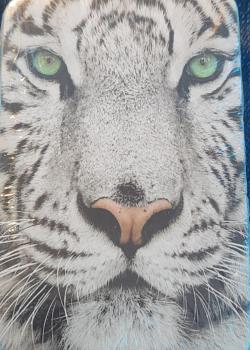 White Tiger Thumbnail