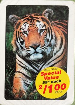 Tiger Front Thumbnail Image