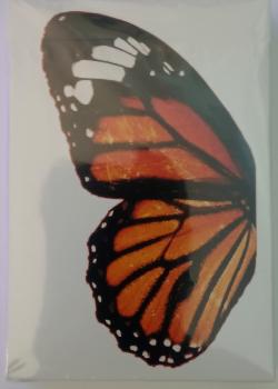 What the Fly V2  Danaus Plexippus Thumbnail