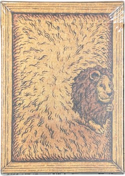 Zoo 52 - Lion Front Thumbnail Image