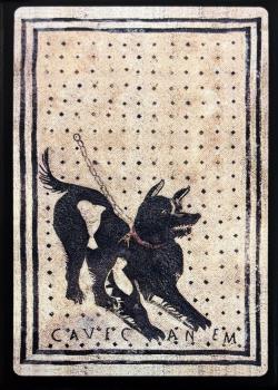 Cave Canem Thumbnail