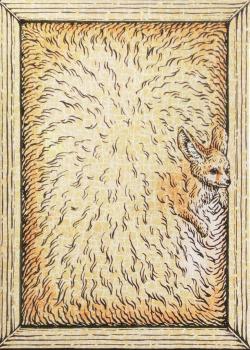 Zoo 52 - Fennec Thumbnail