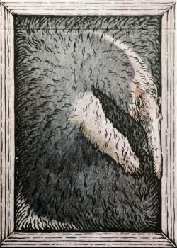 Zoo 52 - Anteater Thumbnail