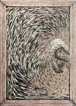 Zoo 52 - Porcupine Thumbnail