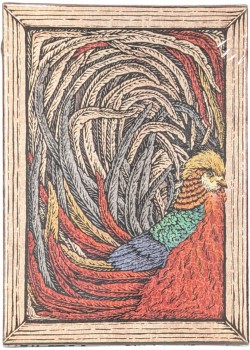 Zoo 52 - Golden Pheasant Front Thumbnail Image