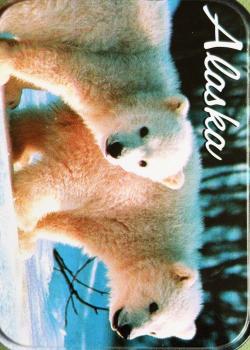 Alaska Polar Bears Thumbnail