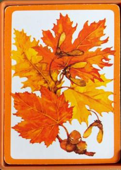 Hallmark Autumn Leaves Orange Thumbnail