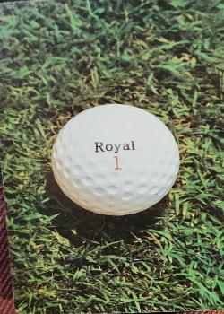 Royal 1 - Deck Front