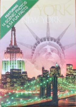 New York New York Thumbnail