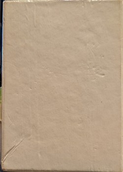 Hidden Mickeys by Peter Wood – tuck box back