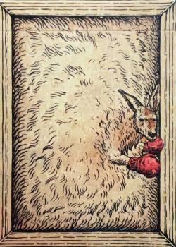 Zoo 52 - Kangaroo Thumbnail