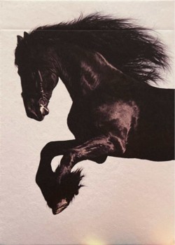Vampire Horse Thumbnail