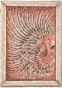 Zoo 52 - Flamingo Front Thumbnail Image