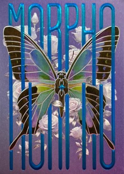 Morpho V2 Rose Spectral Front Thumbnail Image