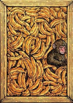 Zoo 52 - Macaque Front Thumbnail Image