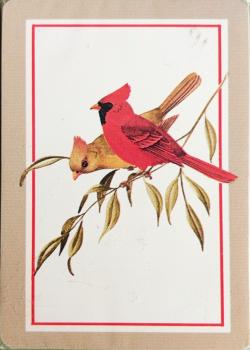Cardinals Thumbnail