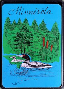 Minnesota Thumbnail