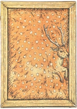 Zoo 52 - Sika Deer Thumbnail