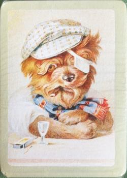 Mrs. Grossman's Tough Dog with Eyepatch - Sage Front Thumbnail Image