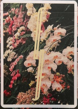 Fontaine Botanical Thumbnail
