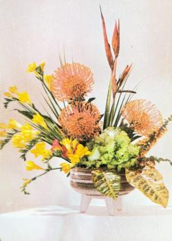 Yellow & Orange Flowers Thumbnail