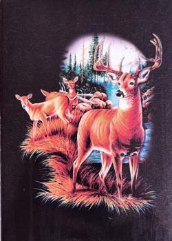 Whitetail Deer Thumbnail